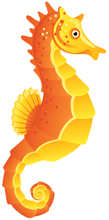 Seahorse (colour)