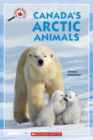 canada's arctic animals