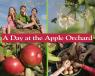 A Day at the Apple Orchard