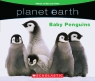 Planet Earth: Baby Penguins