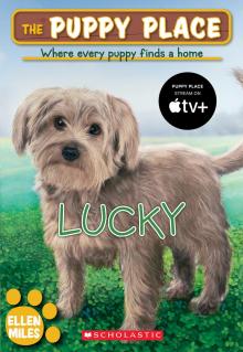 The Puppy Place #16: Lucky