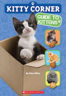 Kitty Corner: Guide to Kittens