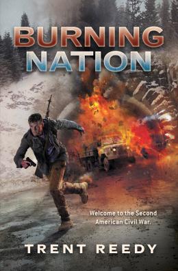 Divided We Fall, Book 2: Burning Nation