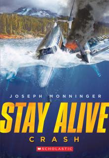 Stay Alive #1: Crash