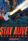 Stay Alive #3: Breakdown