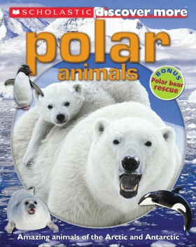 Scholastic Discover More: Polar Animals (Confident Readers) 