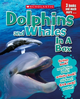 Dolphins and Whales in a Box