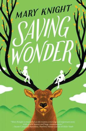 Saving Wonder