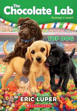 The Chocolate Lab #3: Top Dog