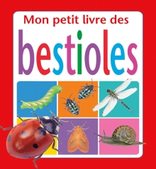 Mon Petit Livre de Voitures (French Edition): Picthall, Chez:  9780439962308: : Books