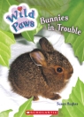 Wild Paws: Bunnies in Trouble
