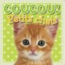 Coucou! Petits chats