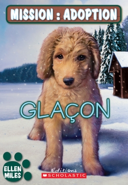 Mission : adoption : Glaçon