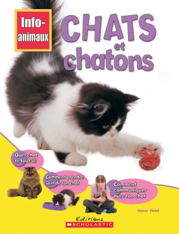 Info-animaux : Chats et chatons