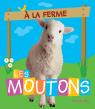 À la ferme : Les moutons