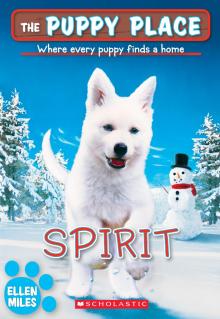 Puppy Place #50: Spirit