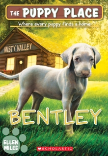 Puppy Place #53: Bentley