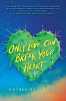 Only Love Can Break Your Heart