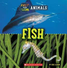 Fast and Slow: Fish (Wild World)