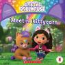 Meet the Kittycorn (Gabby's Dollhouse Storybook)