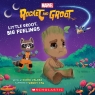 Little Groot, Big Feeling (Marvel's Rocket and Groot Storybook) (Media tie-in)