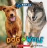 Dog or Wolf (Wild World: Pets and Wild Animals)