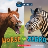 Horse or Zebra (Wild World: Pets and Wild Animals)