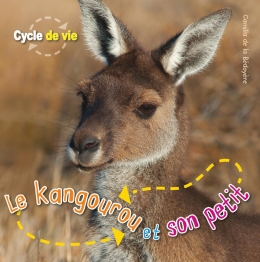 Cycle de vie : Le kangourou et son petit