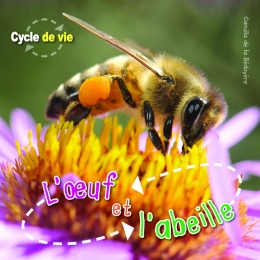 Cycle de vie : L'oeuf et l'abeille