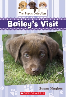 Book 1: Bailey’s Visit