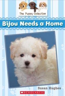 Book 4: Bijou Needs a Home