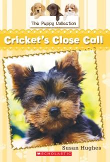 Book 6: Cricket’s Close Call