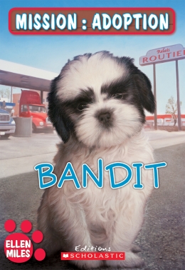 Mission : adoption : Bandit