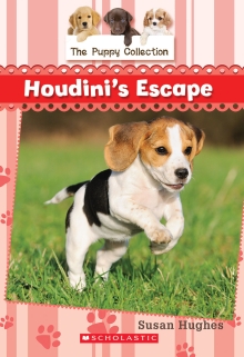 Book 7: Houdini's Escape