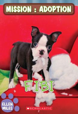 Mission : adoption : Fibi