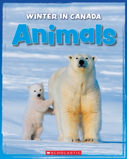 Winter in Canada: Animals