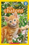 National Geographic Kids : Les chatons (niveau 1)