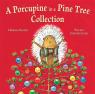A Porcupine in a Pine Tree Collection