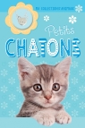 Ma collection d'animaux : Petits chatons