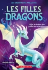 Les filles dragons : No 2 - Willa, le dragon des paillettes argentées