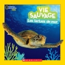 National Geographic Kids : Vie sauvage : Les tortues de mer