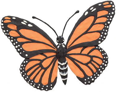 A monarch butterfly.