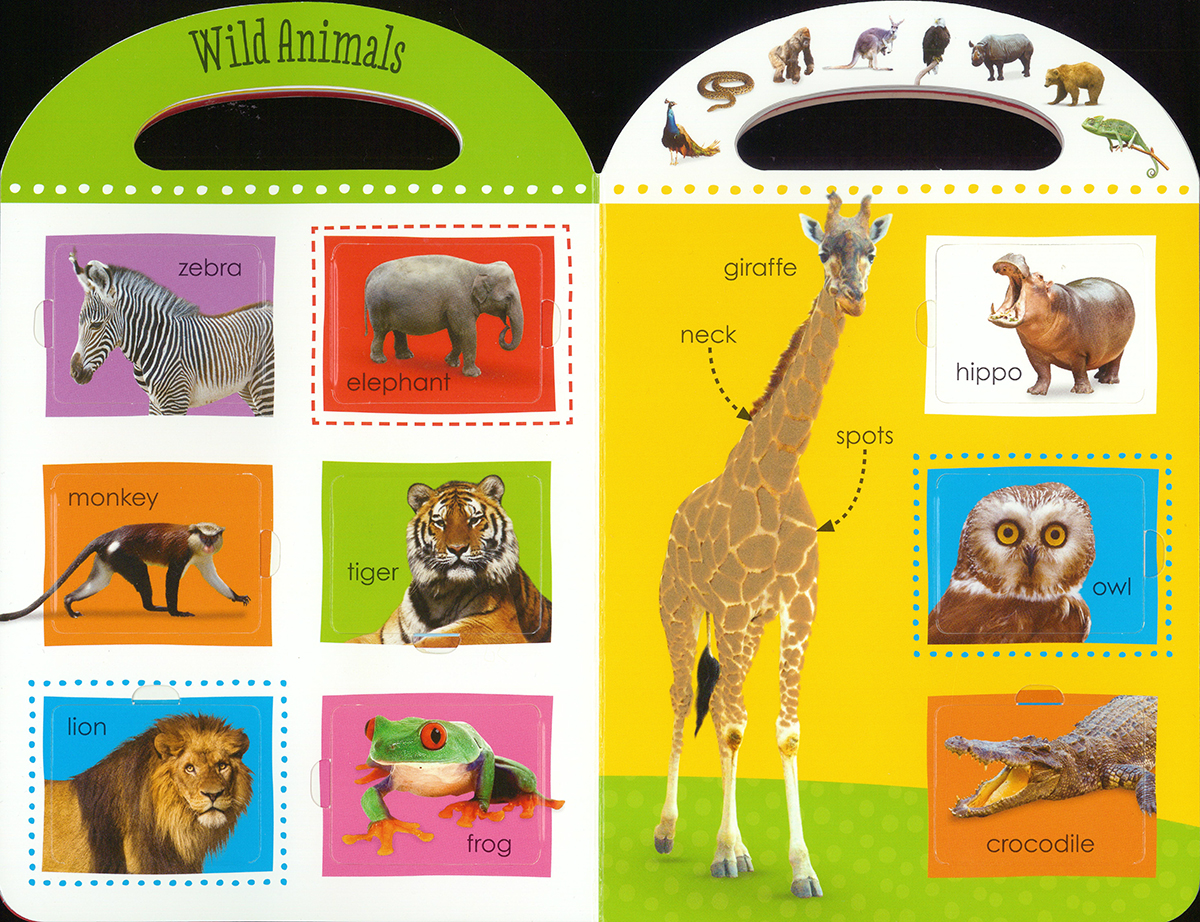 Книга animals animals