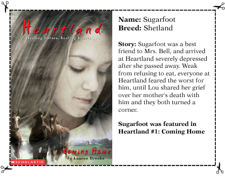 Trading Card