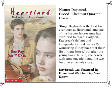 Trading Card