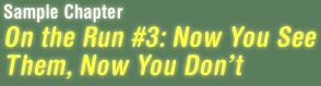 Sample Chapter -- On the Run #3: Now You See Them, Now You Don't