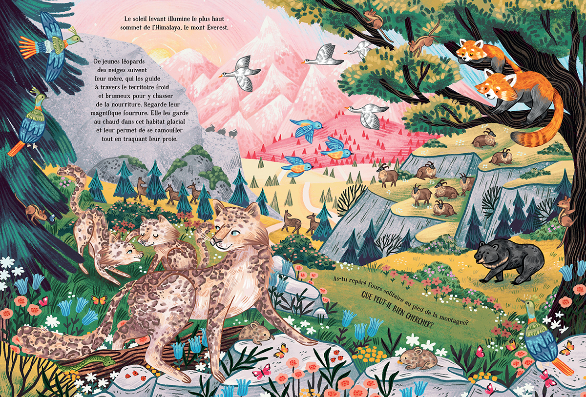 Éditions Scholastic | Les secrets de la montagne