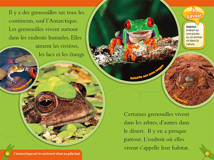 Éditions Scholastic | National Geographic Kids : Les grenouilles (niveau 2)