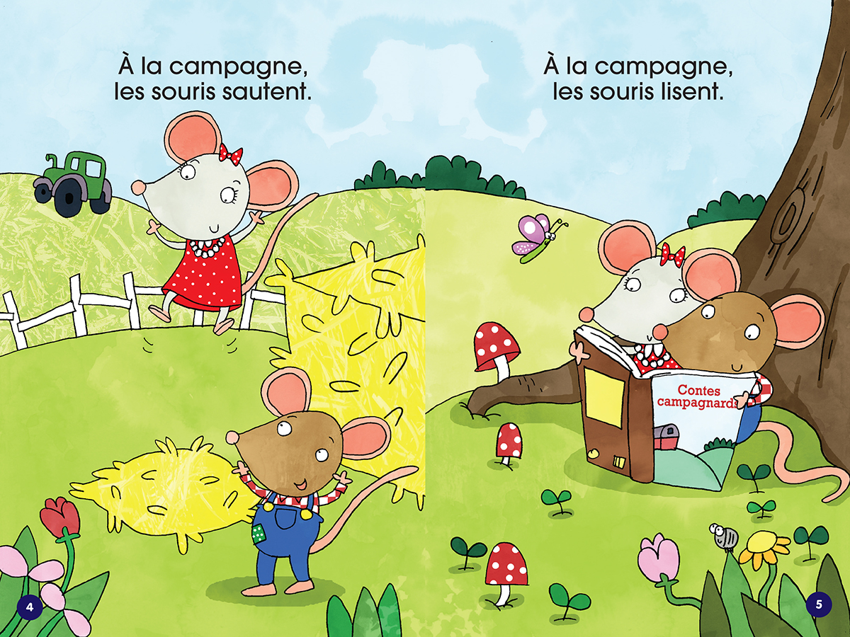 Éditions Scholastic Toujours parfait La souris des villes et la souris des champs (B)