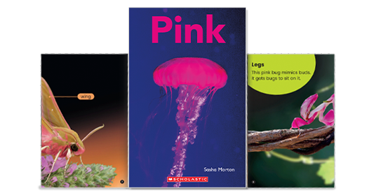 Pink samples